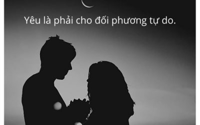 Đi Bụi Gặp Ý Trung Nhân (12)
